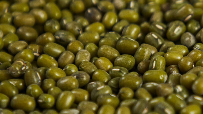 Green mung Beans