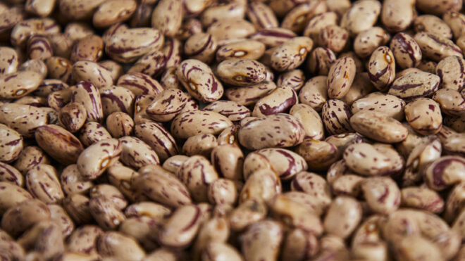 Fagioli Borlotti