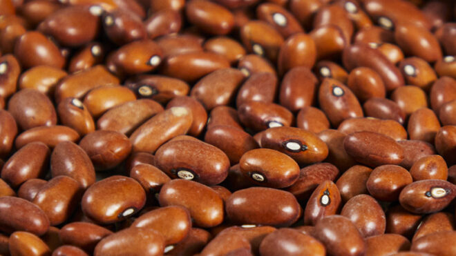 Brown Beans