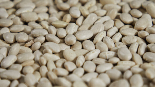 White Alubia beans