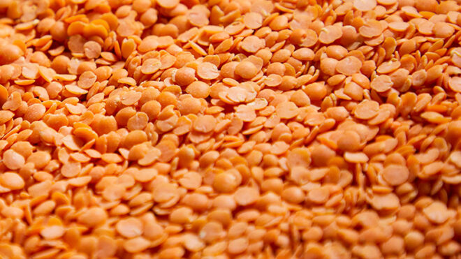 Whole red Lentils