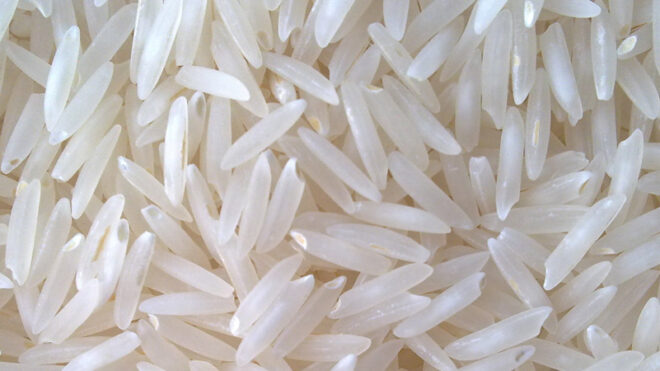 Rice