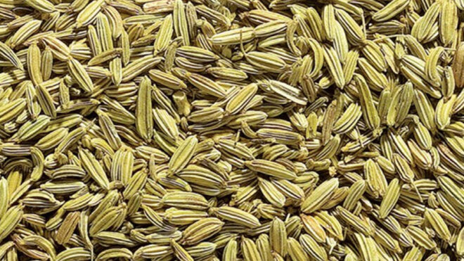 Fennel seeds